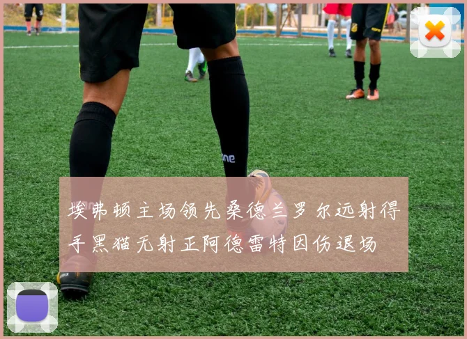 埃弗顿主场领先桑德兰罗尔远射得手黑猫无射正阿德雷特因伤退场