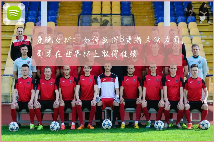 曼晚分析：如何发挥B费潜力助力葡萄牙在世界杯上取得佳绩